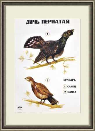 Дичь пернатая, большой советский плакат
