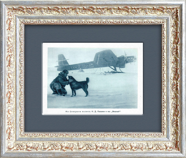 На Северном полюсе: И. Д. Папанин и пес "Веселый". Тиражная иллюстрация