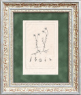 Клюква, старинная гравюра 19 века