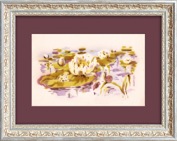 Нимфеи в сказочном пруду. Графика середины 20 века