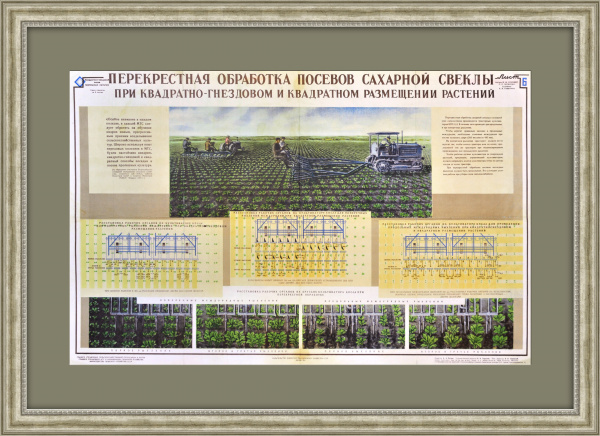 Сей квадратно-гнездовым! Большой плакат СССР, 1954 год Сей квадратно-гнездовым! Большой плакат СССР, 1954 год