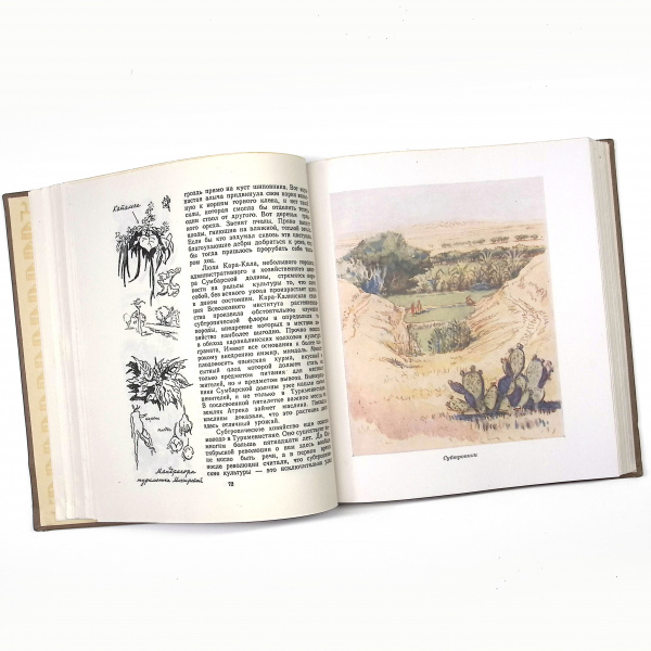Туркменистан. Антикварная книга 1948 года Нефть, газ, геология туркменистан. антикварная книга 1948 года
