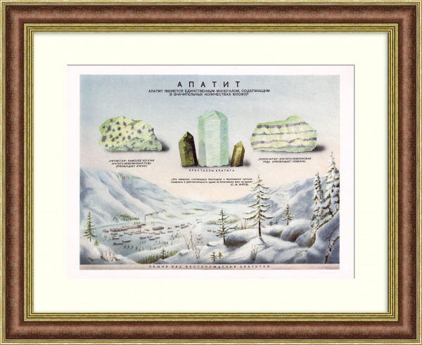 Апатит и его разновидности. Редкий, советский плакат