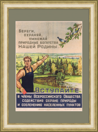 Береги,охраняй,умножай природные богатства нашей Родины! Агитационный плакат