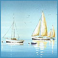 Флот флот