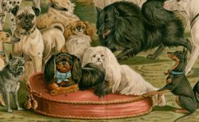 Породы служебных и декоративных собак. Антикварная литография в раме, 1895 год