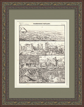 Народы России: калмыки, чукчи, остяки, самоеды. Уникальная, старинная гравюра