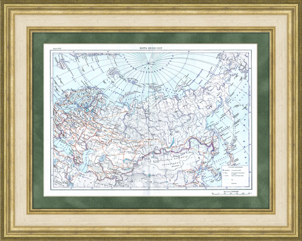 Старинная Карта лесов СССР, 1955 г.