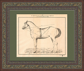 Патент на новую форму упряжи. Антикварная литография