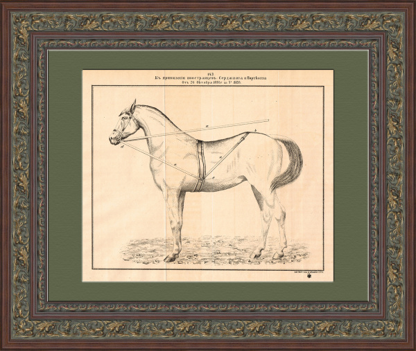 Патент на новую форму упряжи. Антикварная литография