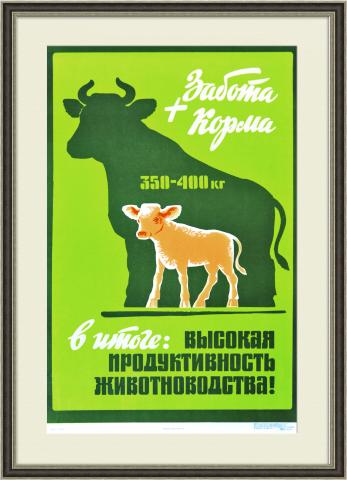 За высокую продуктивность животноводства! Плакат СССР