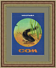 Сом, реклама Мосрыбы. Иллюстрация 1973 года