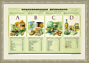 Классификация витаминов и их содержание в продуктах. Советский плакат