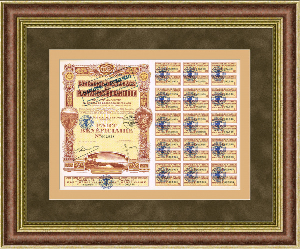 Учредительская акция табачной компании Compagnie des tabacs et plantations du Cameroun