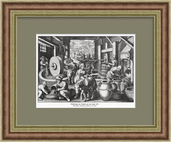 Производство оливкого масла в 1570 году. Старинная графика