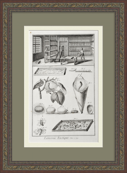 Производство шелка. Уникальная гравюра 18 века Производство шелка. Уникальная гравюра 18 века