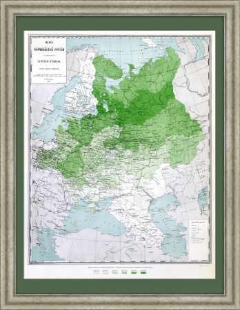 Площадь лесов в Европейской России. Большая старая карта