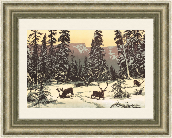 Восточная Сибирь, в тайге. С гравюры В. Мешкова