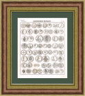 Народы мира на антикварных монетах, раритетная литография 1838 года