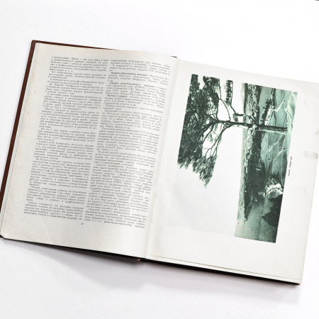 курорты ссср. антикварная книга 1951 года