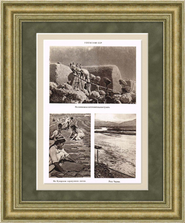 Узбекская ССР, старинная иллюстрация в раме, 1947 г.