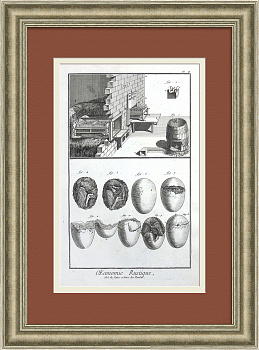 Инкубатор для выведения цыплят, сельское хозяйство. Уникальная, старинная гравюра