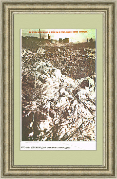 Что мы делаем для охраны природы? Советский плакат