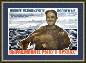 Выращивайте рыбу в прудах! Редкий плакат СССР