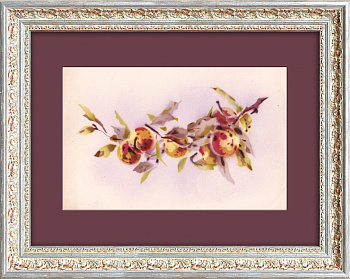 Спелые персики на ветке. Винтажная графика