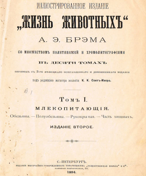 Шимпанзе. Старинная литография в раме Флора, фауна шимпанзе. старинная литография в раме