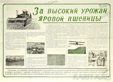 Сельскохоз плакат "За высокий урожай яровой пшеницы", оригинал 1954 г., сигнальный экземпляр
