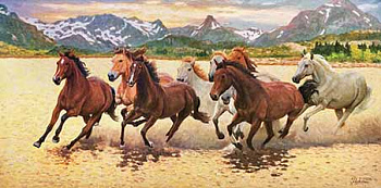 Красота, сила и грация. Авторская живопись