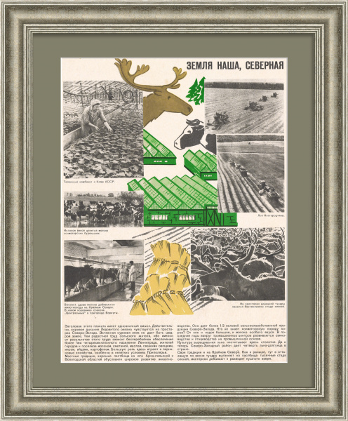 Земля наша, северная. Плакат СССР Земля наша, северная. Плакат СССР