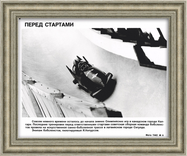 Бобслей на Олимпийских играх. Фото ТАСС