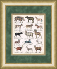 Зебра квагга, снежный баран, большой куду, тапир, сенегальская антилопа и др. Редкая гравюра в раме