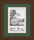 Вспашка поля. Сельское хозяйство 18 века на гравюре Дидро