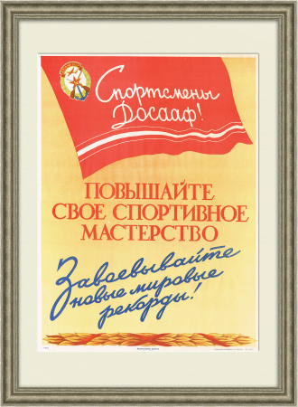 Спортсмены ДОСААФ, повышайте свое мастерство! Агитационный плакат