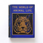 Животный мир, старинная книга с иллюстрациями на английском язык