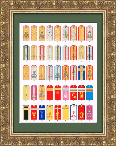 Военные погоны Российской империи. Авторская графика