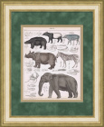 Слон, зебра, носорог, кабан, тапир, бегемот. Редкая старинная гравюра