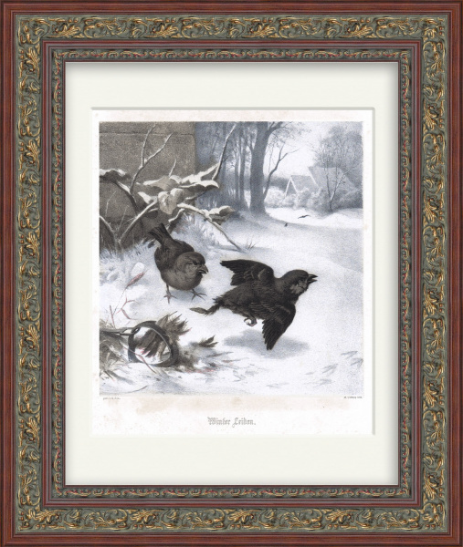 Зима, спасение воробья. Антикварная литография в раме