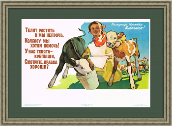 У нас телята - хороши! Советский плакат У нас телята - хороши! Советский плакат