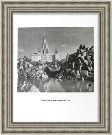 Альпинарий Ботанического сада МГУ им. М.В. Ломоносова. Редкая графика