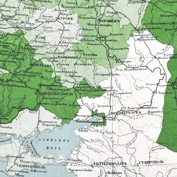 общая площадь и распределение казенных лесов европейской россии. старинная карта