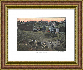 Константинополь начала 20 века. Редкая старинная фототипия