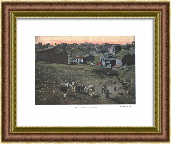 Константинополь начала 20 века. Редкая старинная фототипия