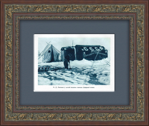 Станция "Северный полюс-1", И. Д. Папанин. Тиражная иллюстрация