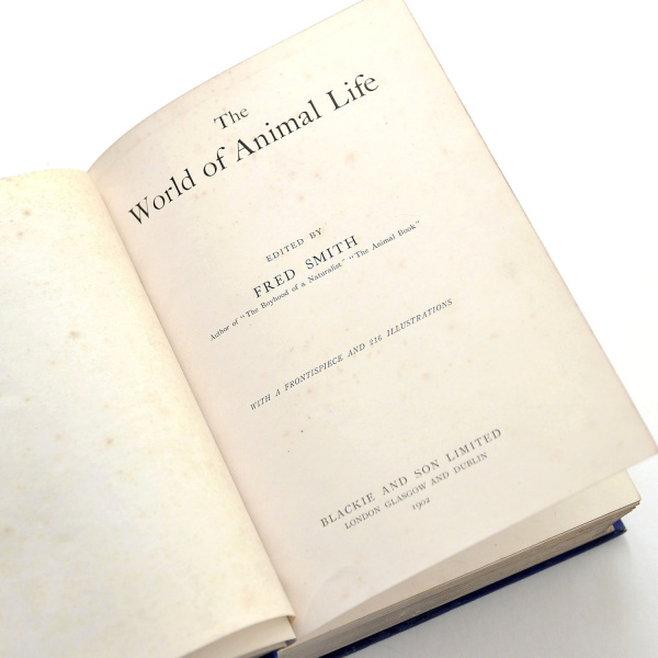 животный мир, старинная книга с иллюстрациями на английском язык