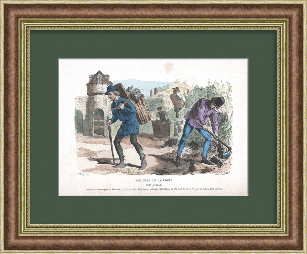 Виноградарство и виноделие в средневековой Франции. Старинная гравюра Виноградарство и виноделие в средневековой Франции. Старинная гравюра