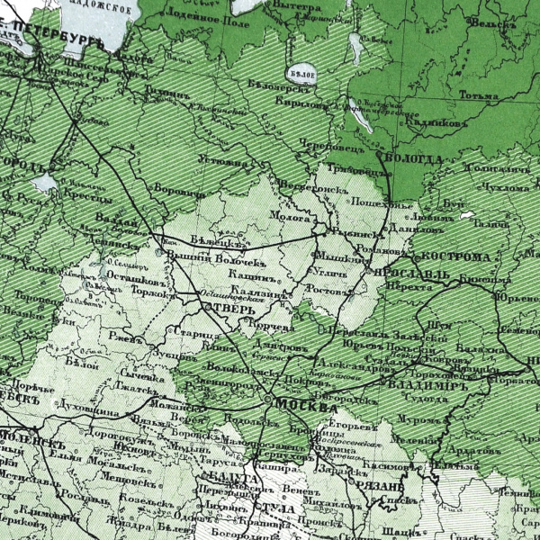 площадь лесов в европейской россии. большая старая карта